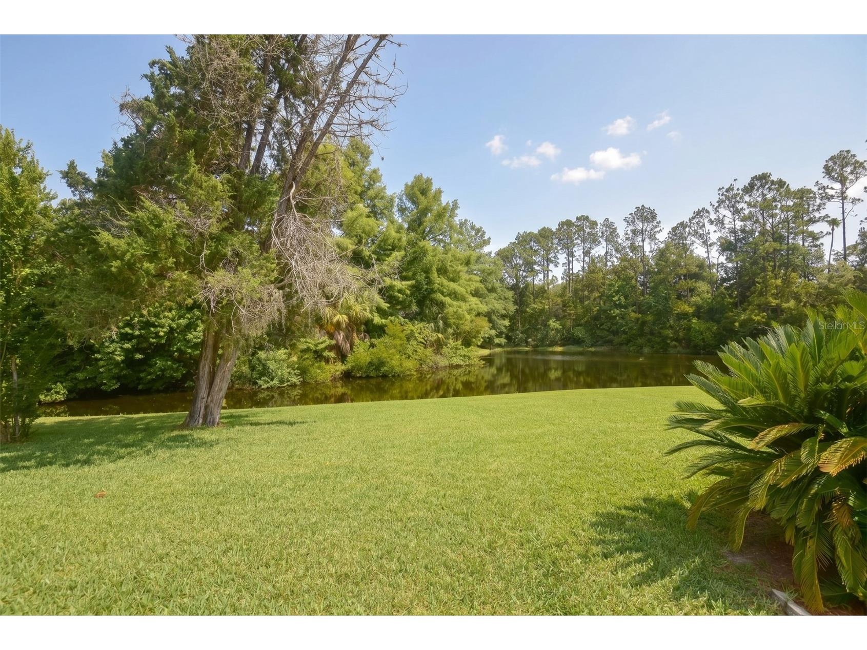 114 Shadowcreek Way Ormond Beach FL 32174 FC318937 image56