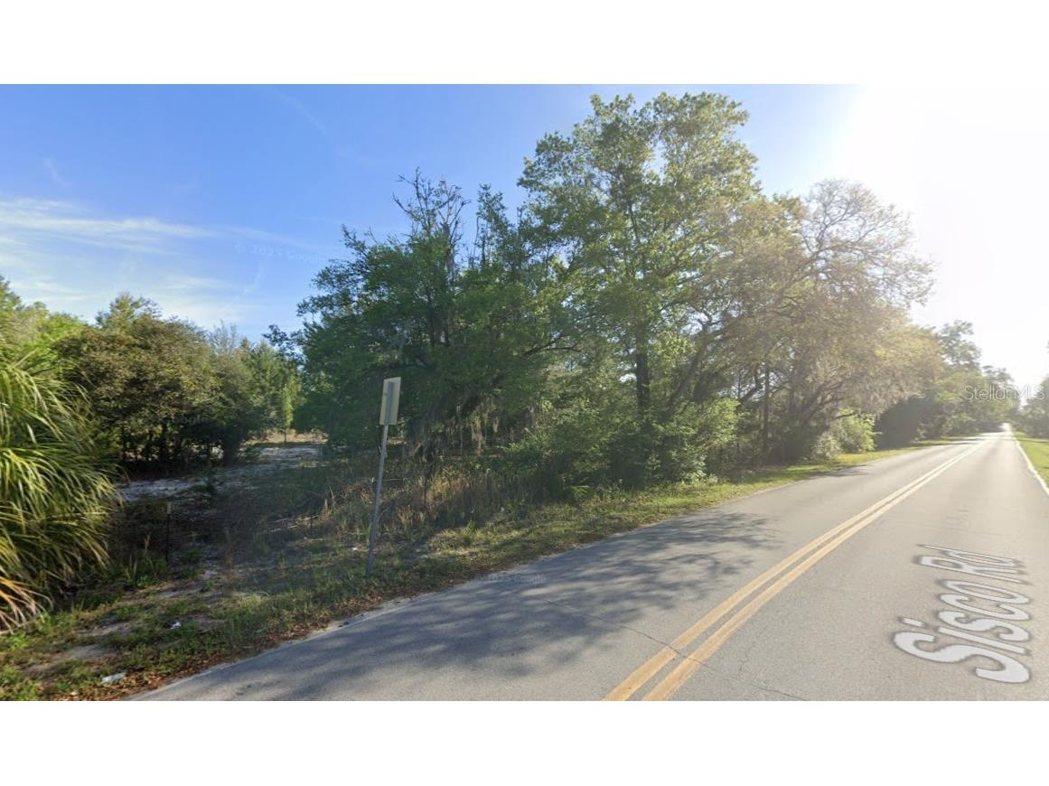 114 Sisco Road Pomona Park FL 32181 S5140753 image1