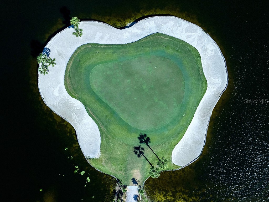 114 Southampton Place N #237 Venice FL 34293 N6139046 image33