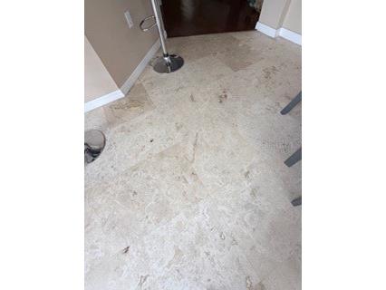 114 Vervain Avenue Davenport FL 33837 S5148699 image28