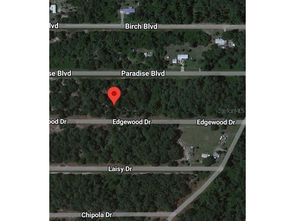 114 W Edgewood Drive Georgetown FL 32139 OM672466 image1