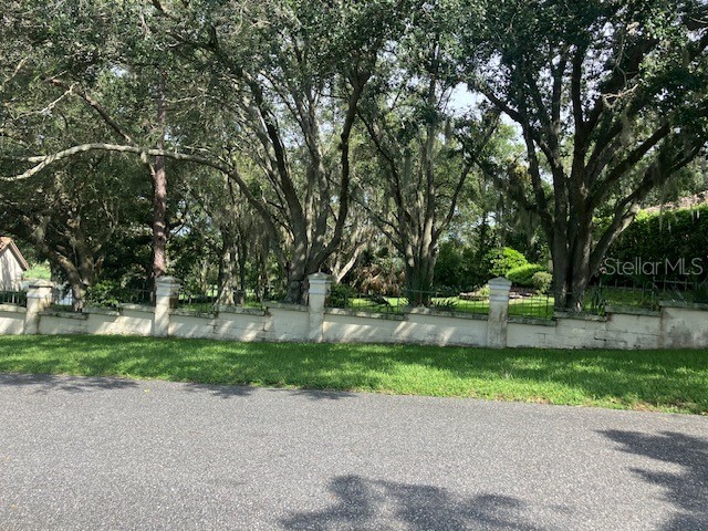 116 W Magnolia Avenue Howey In The Hills FL 34737 O6322551 image2