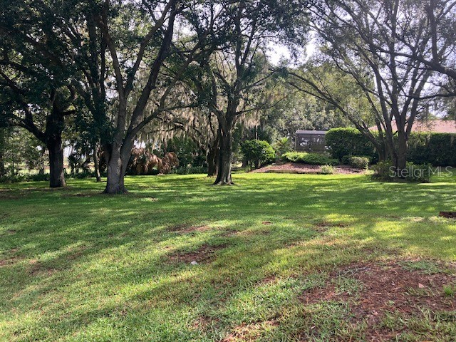 116 W Magnolia Avenue Howey In The Hills FL 34737 O6322551 image3