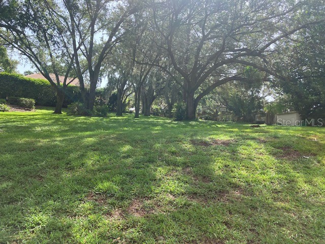 116 W Magnolia Avenue Howey In The Hills FL 34737 O6322551 image4