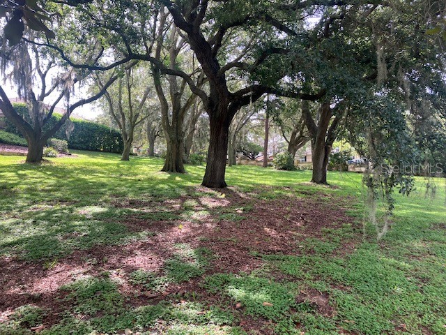 116 W Magnolia Avenue Howey In The Hills FL 34737 O6322551 image5