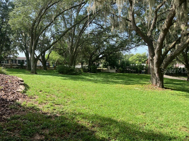 116 W Magnolia Avenue Howey In The Hills FL 34737 O6322551 image6