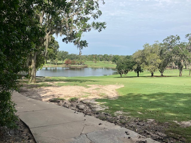 116 W Magnolia Avenue Howey In The Hills FL 34737 O6322551 image7