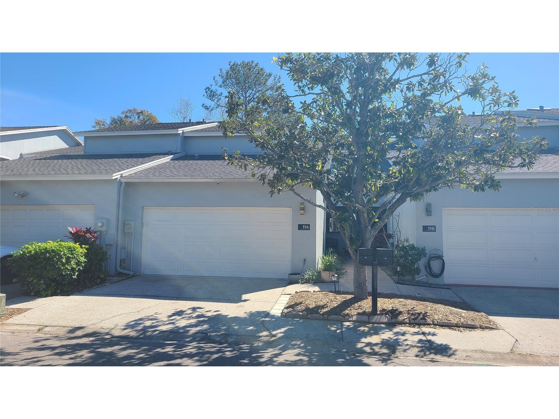 114 W Targa Court Tampa FL 33606 TB8469641 image1