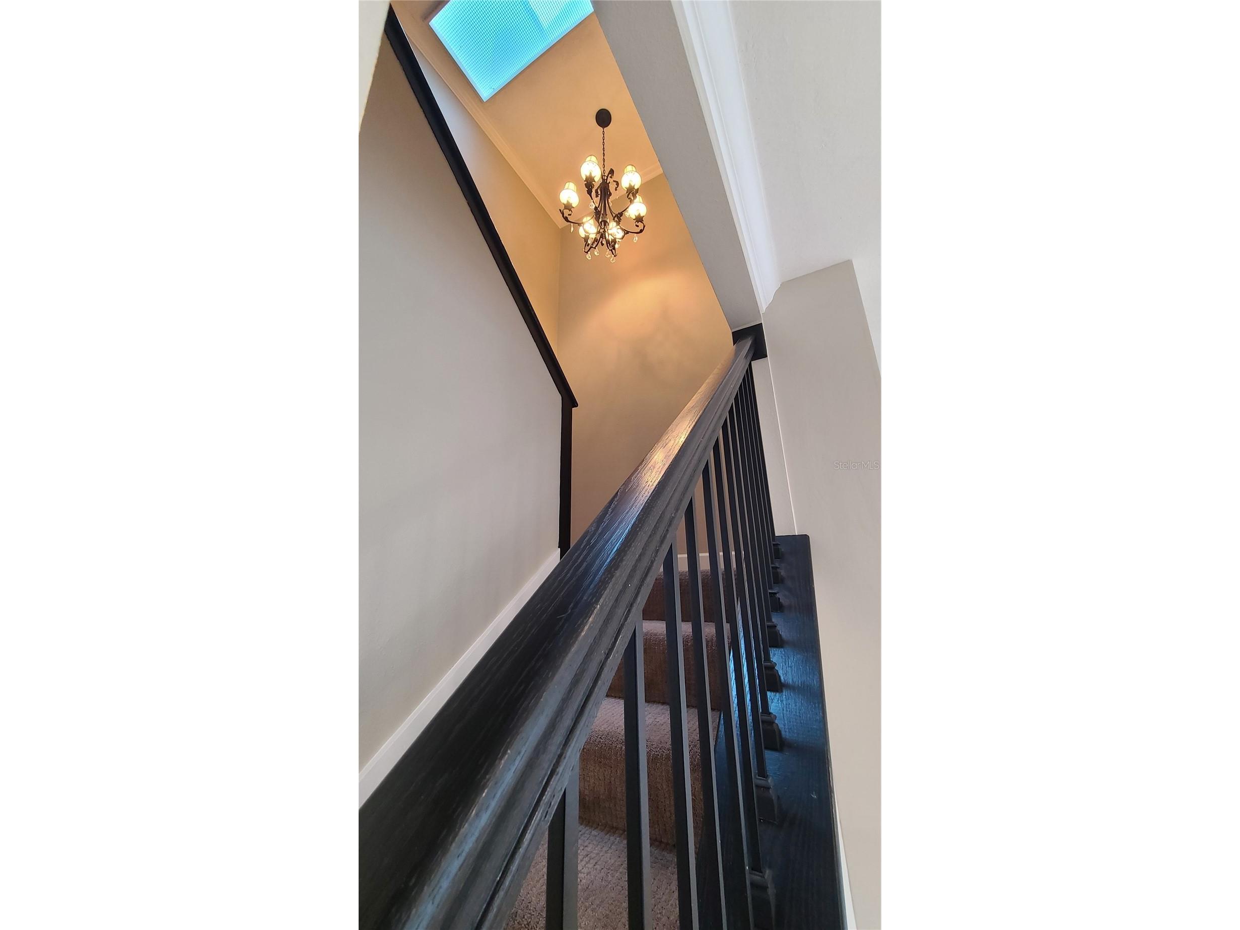 114 W Targa Court Tampa FL 33606 TB8469641 image22