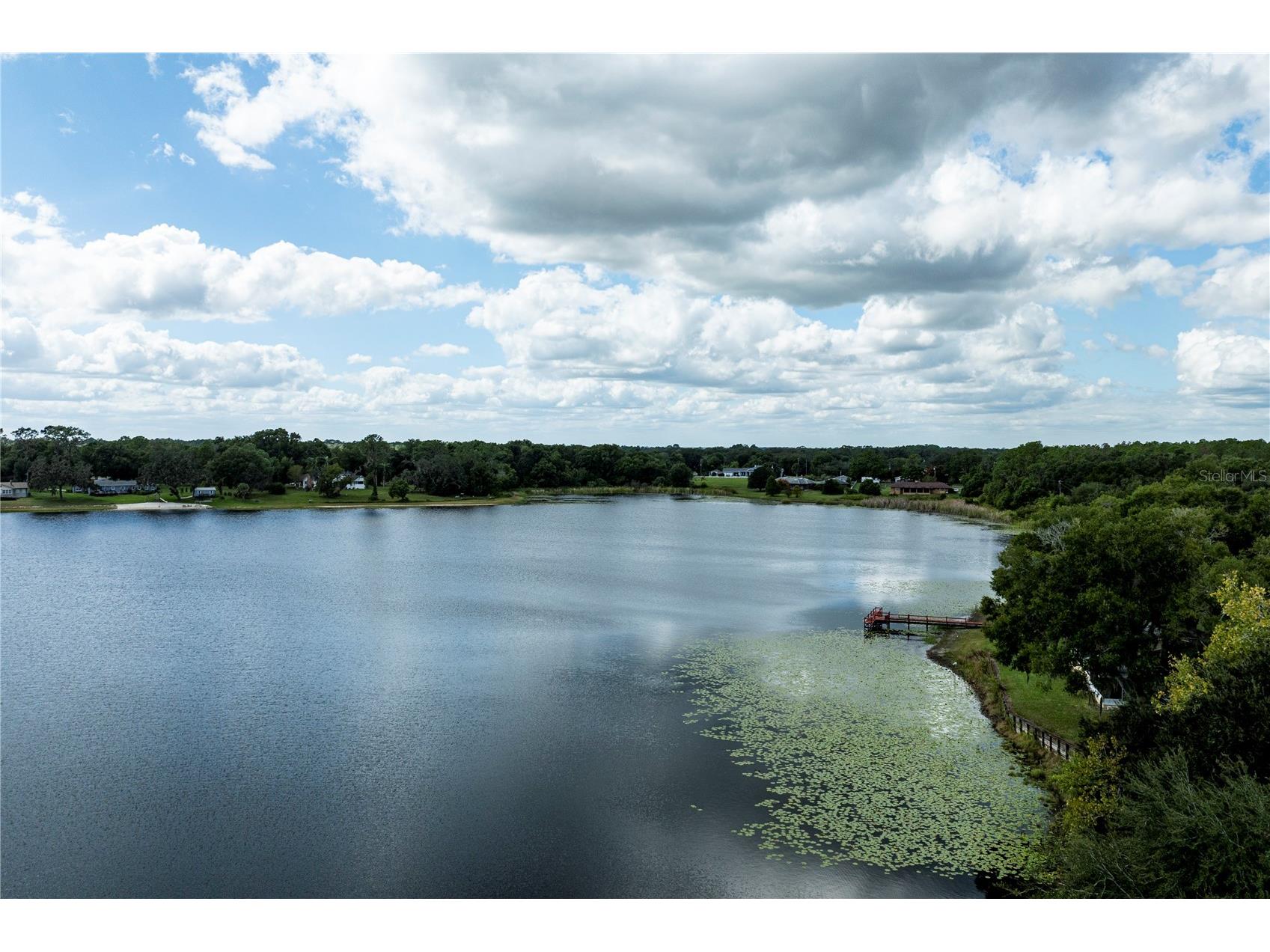 114 Wingfield Drive Umatilla FL 32784 - LAKE ELLA G5103435 image64