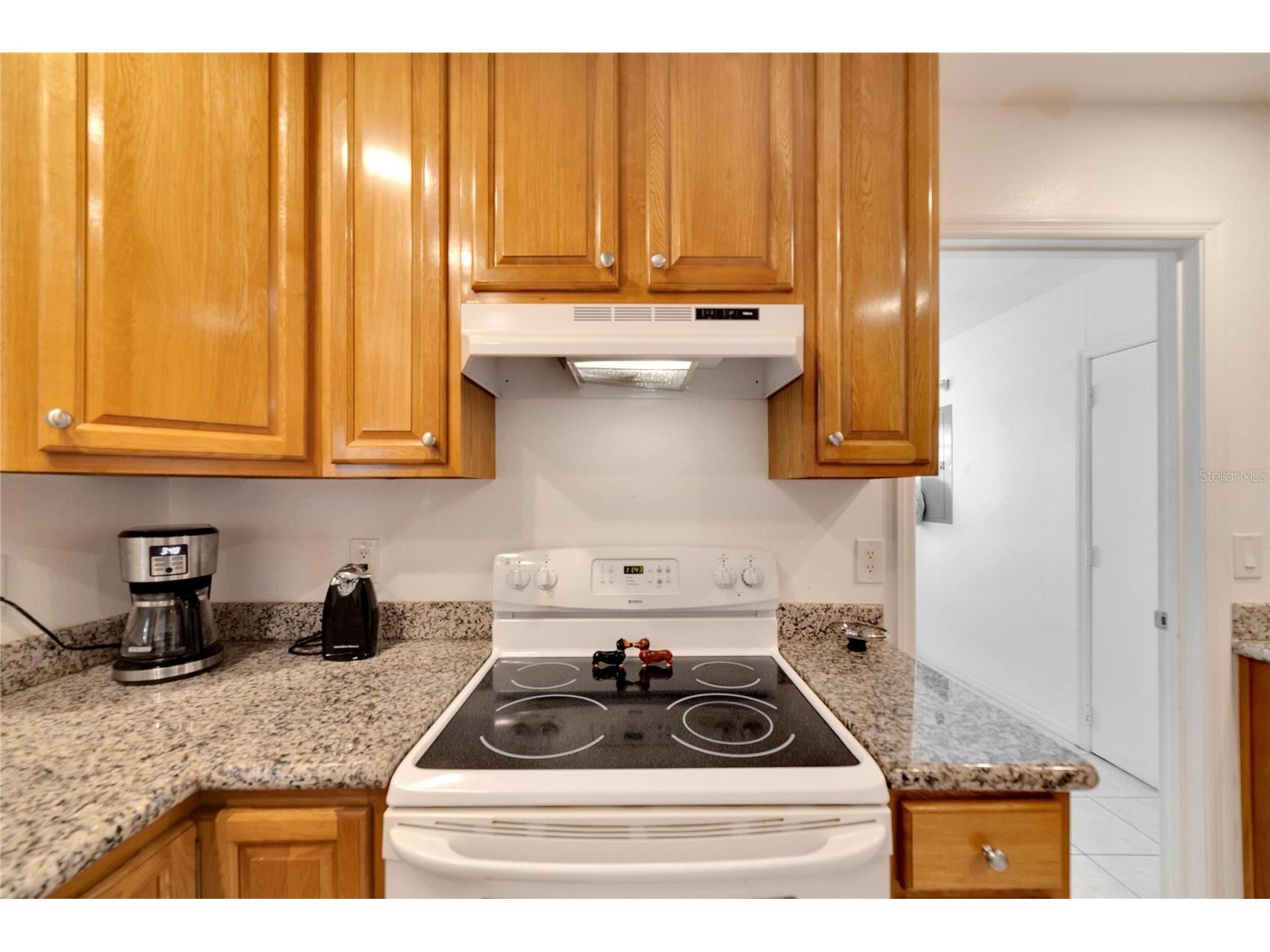 114 Wintersong Lane Sun City Center FL 33573 TB8497233 image15