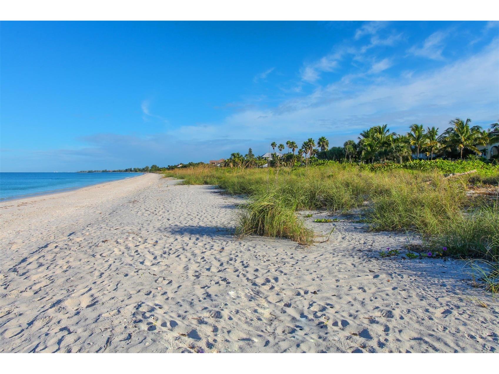 1140 Beachcomber Court #11 Osprey FL 34229 A4683755 image49