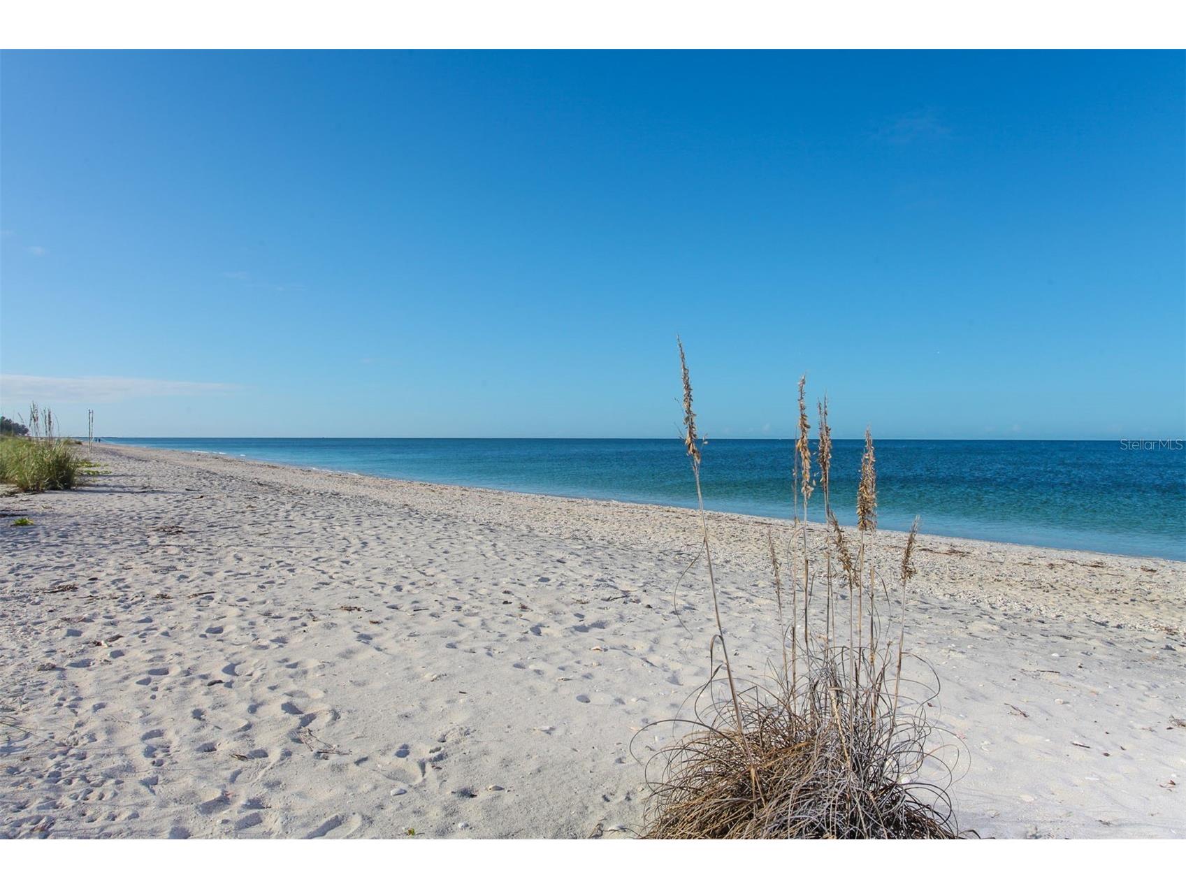 1140 Beachcomber Court #11 Osprey FL 34229 A4683755 image50