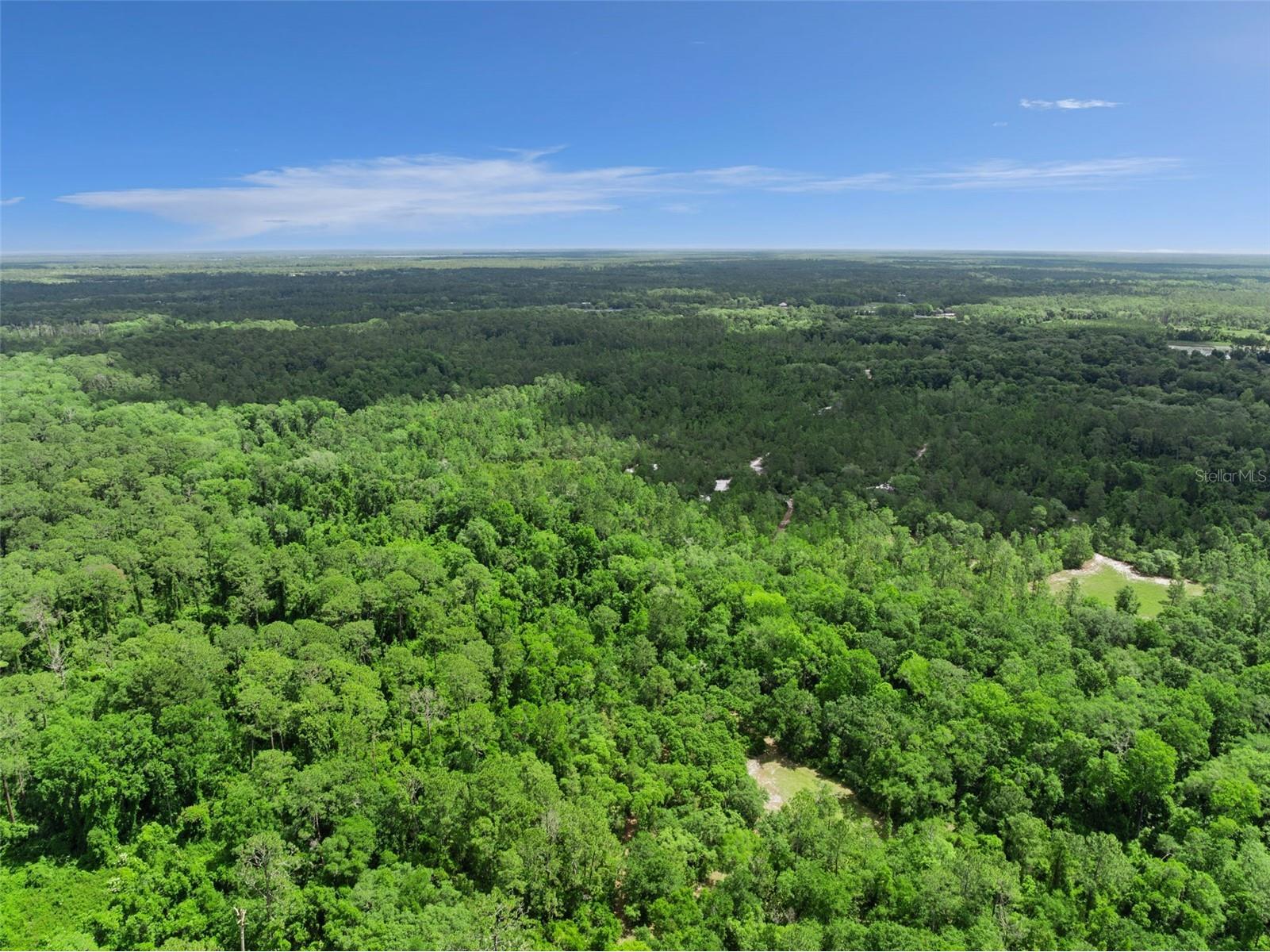 1140 Buckles Road Pierson FL 32180 V4948954 image37