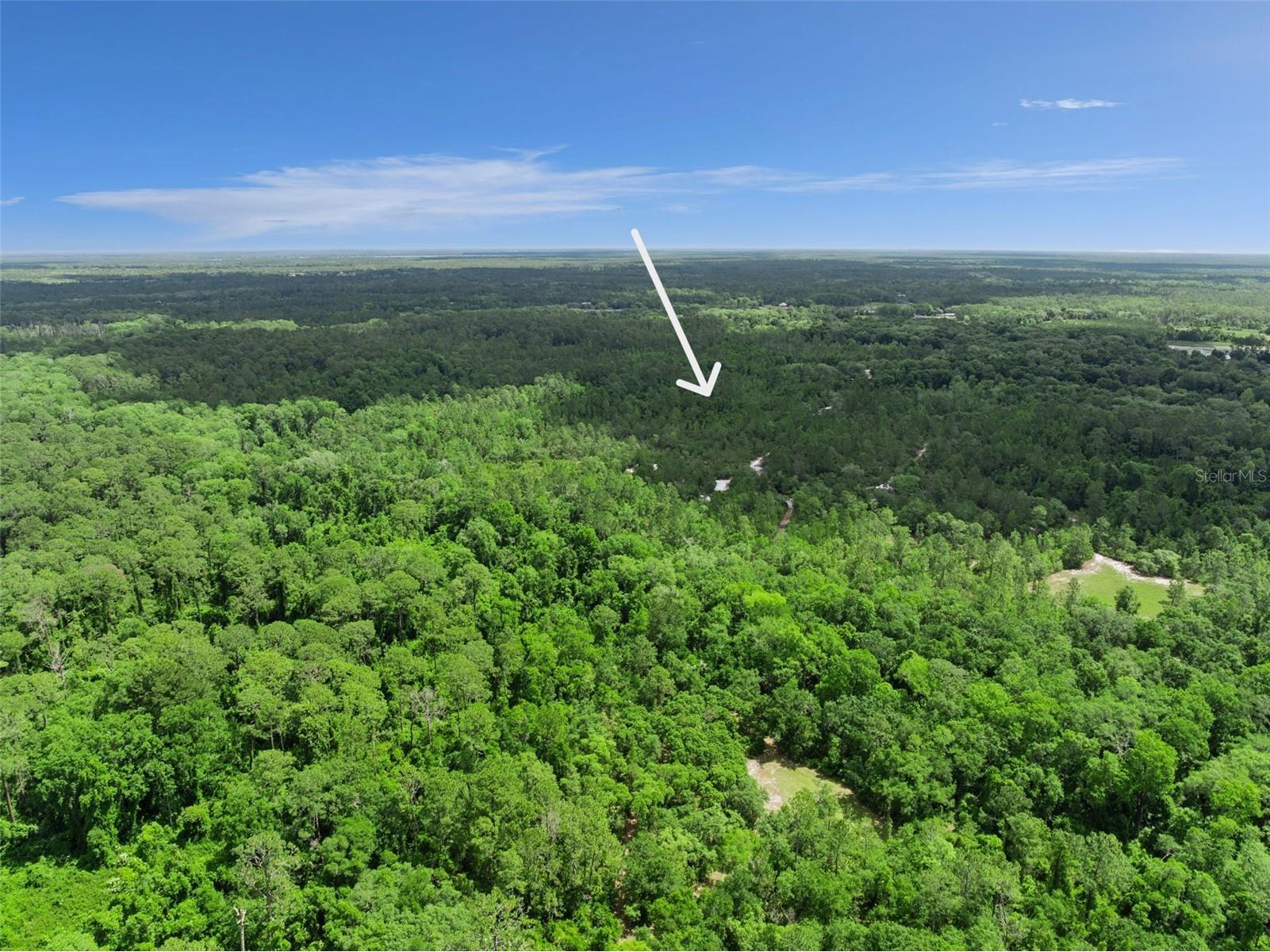 1140 Buckles Road Pierson FL 32180 V4948954 image38