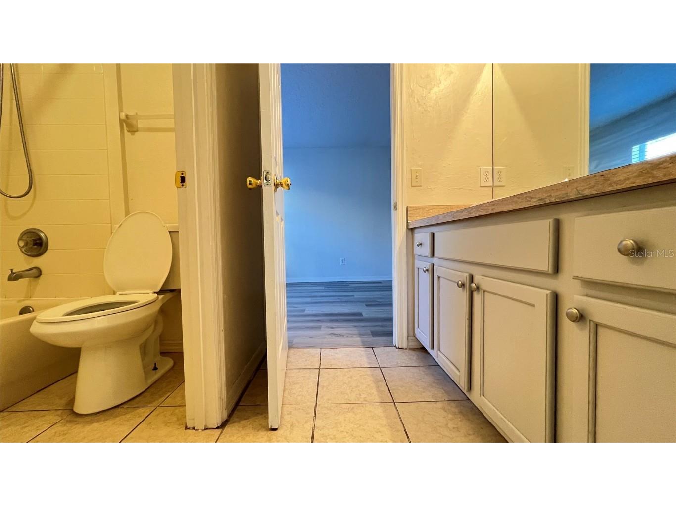 1140 Cedarwood Way Clermont FL 34714 S5136416 image10