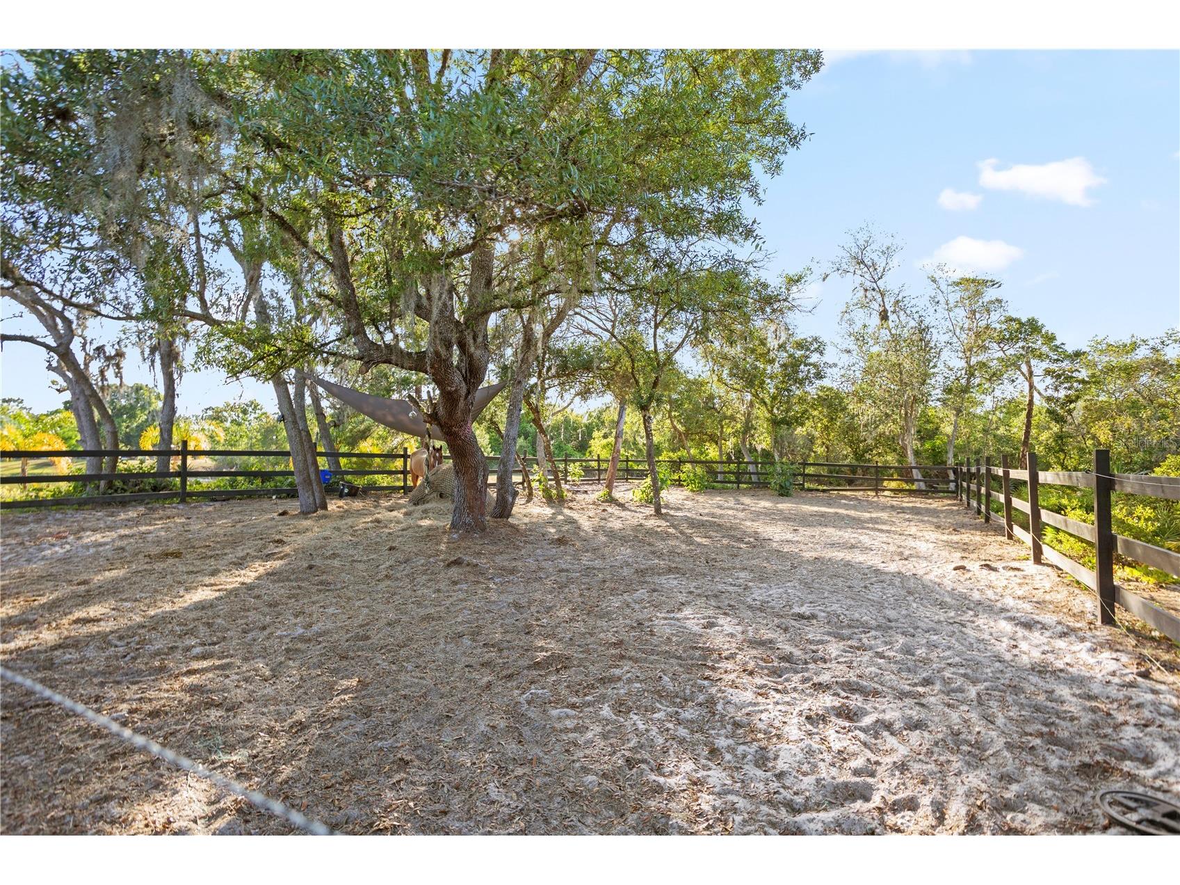 1140 Gallant Fox Way Chuluota FL 32766 - LAKE PICKETT O6401309 image39