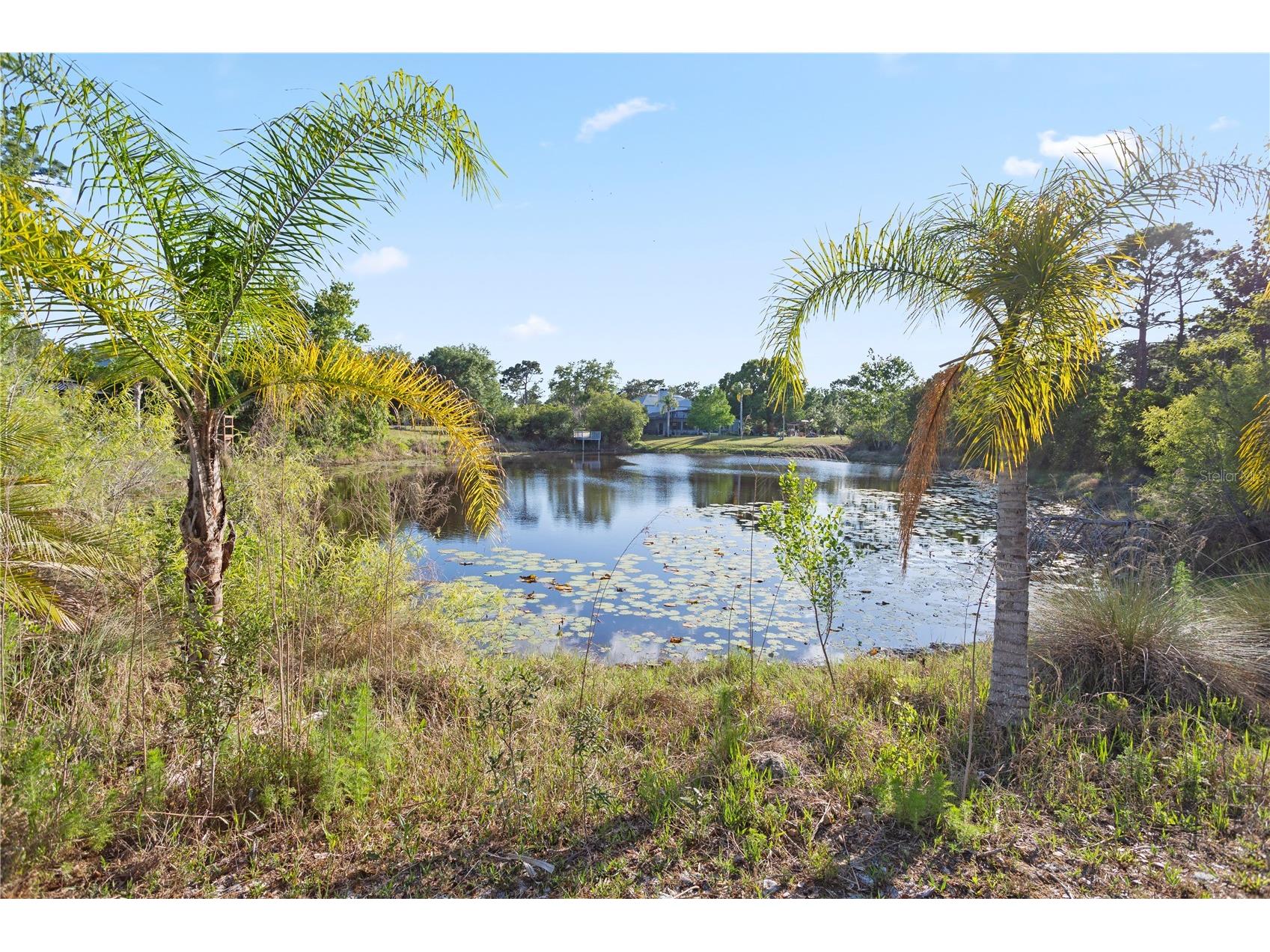1140 Gallant Fox Way Chuluota FL 32766 - LAKE PICKETT O6401309 image40