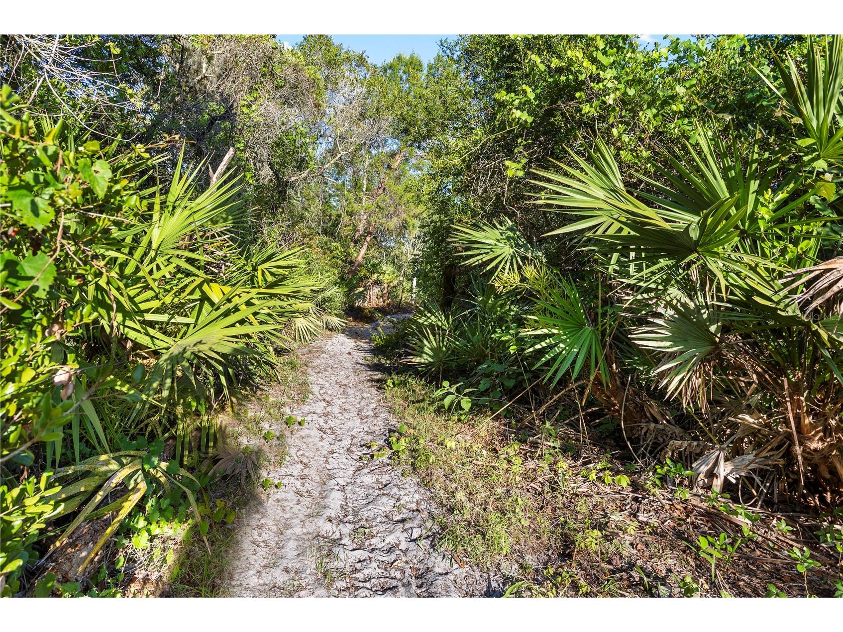 1140 Gallant Fox Way Chuluota FL 32766 - LAKE PICKETT O6401309 image41