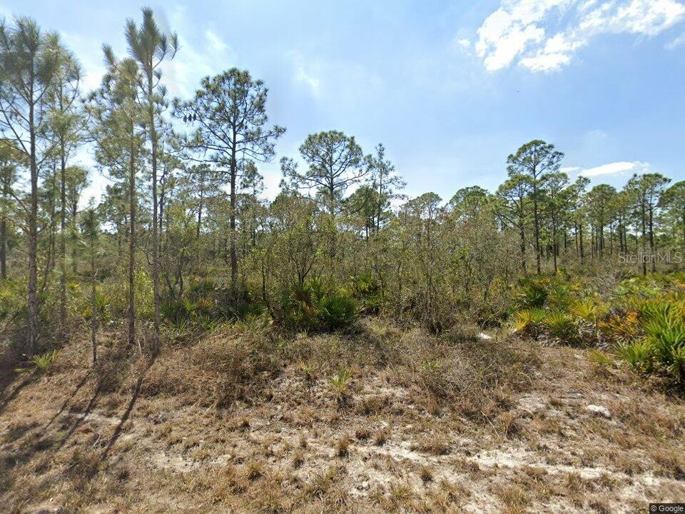 1140 Heron Street Lake Placid FL 33852 A4674511 image3