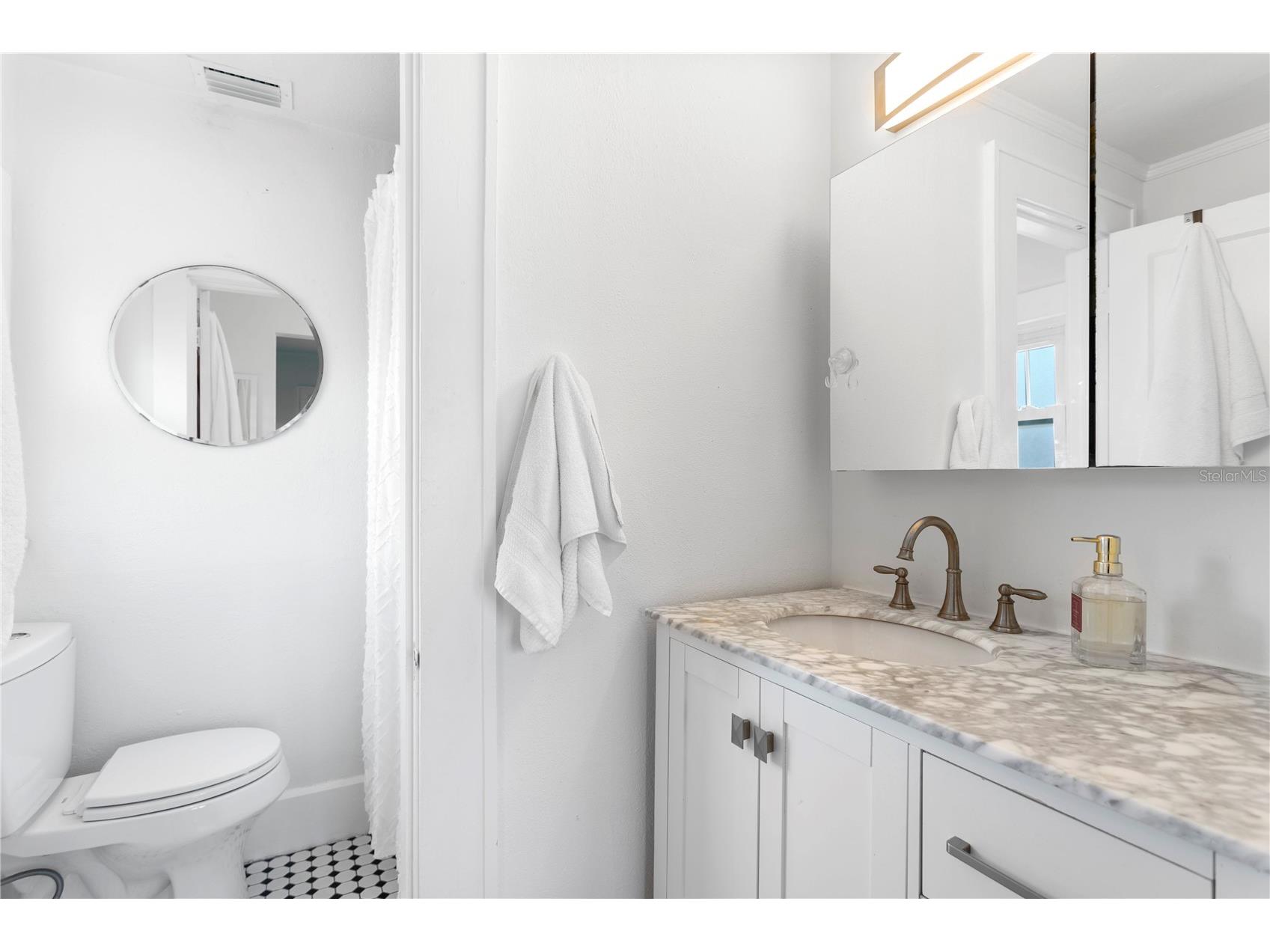 1140 Oak Street NE Saint Petersburg FL 33701 A4686778 image34