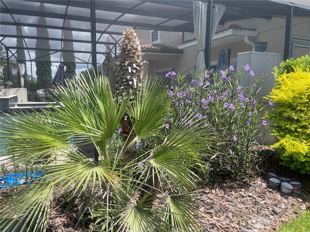 1140 Trappers Trail Loop Davenport FL 33896 S5129827 image83