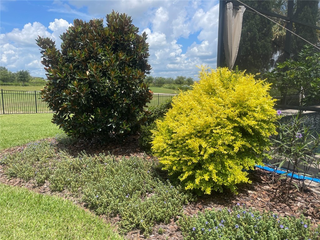 1140 Trappers Trail Loop Davenport FL 33896 S5129827 image84