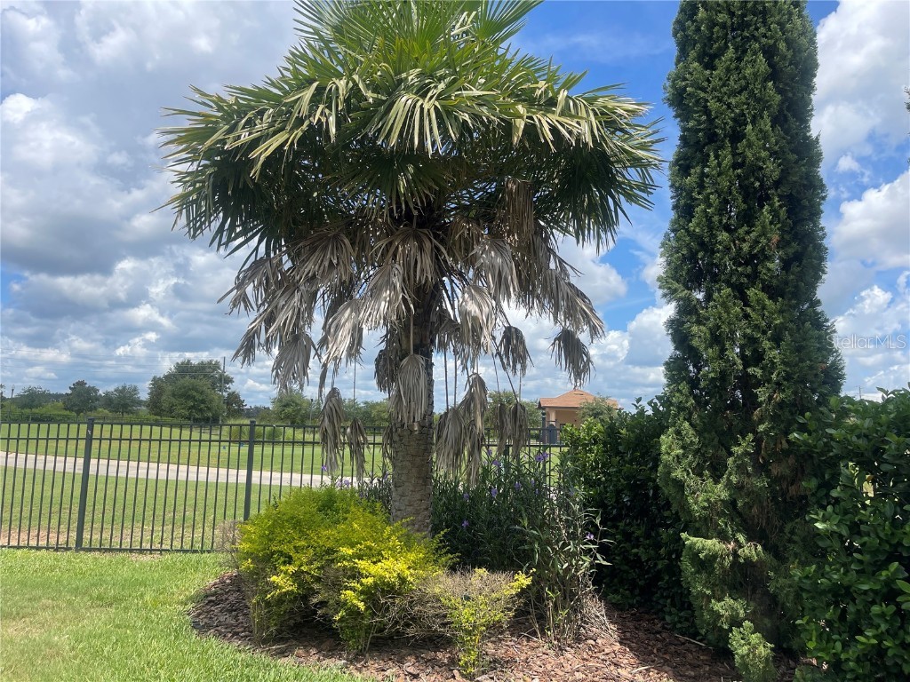 1140 Trappers Trail Loop Davenport FL 33896 S5129827 image89