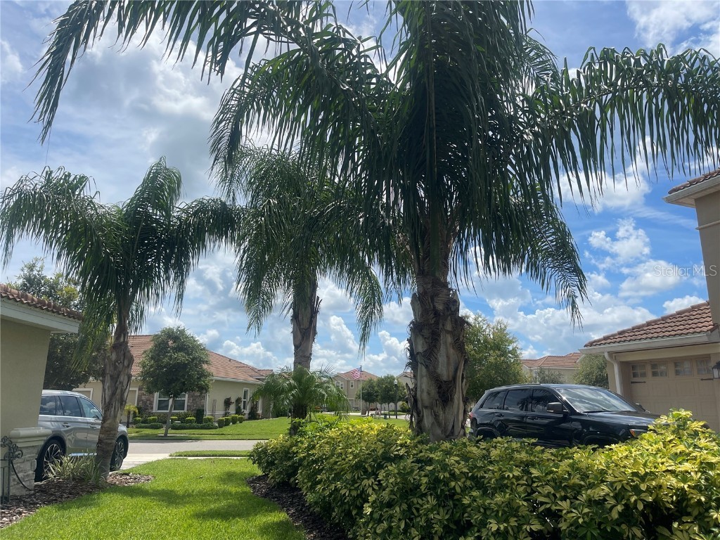 1140 Trappers Trail Loop Davenport FL 33896 S5129827 image91