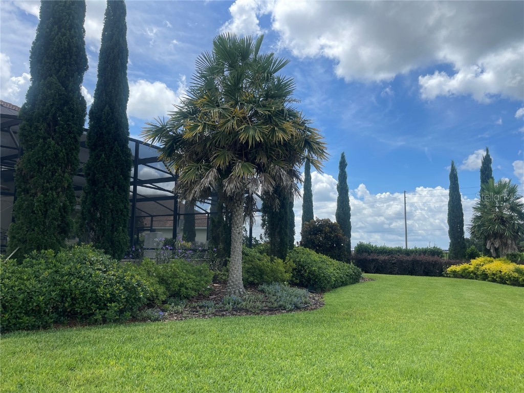 1140 Trappers Trail Loop Davenport FL 33896 S5129827 image92