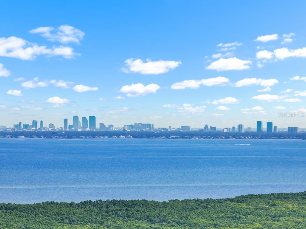 11400 3rd Street N #1 Saint Petersburg FL 33716 TB8438158 image23