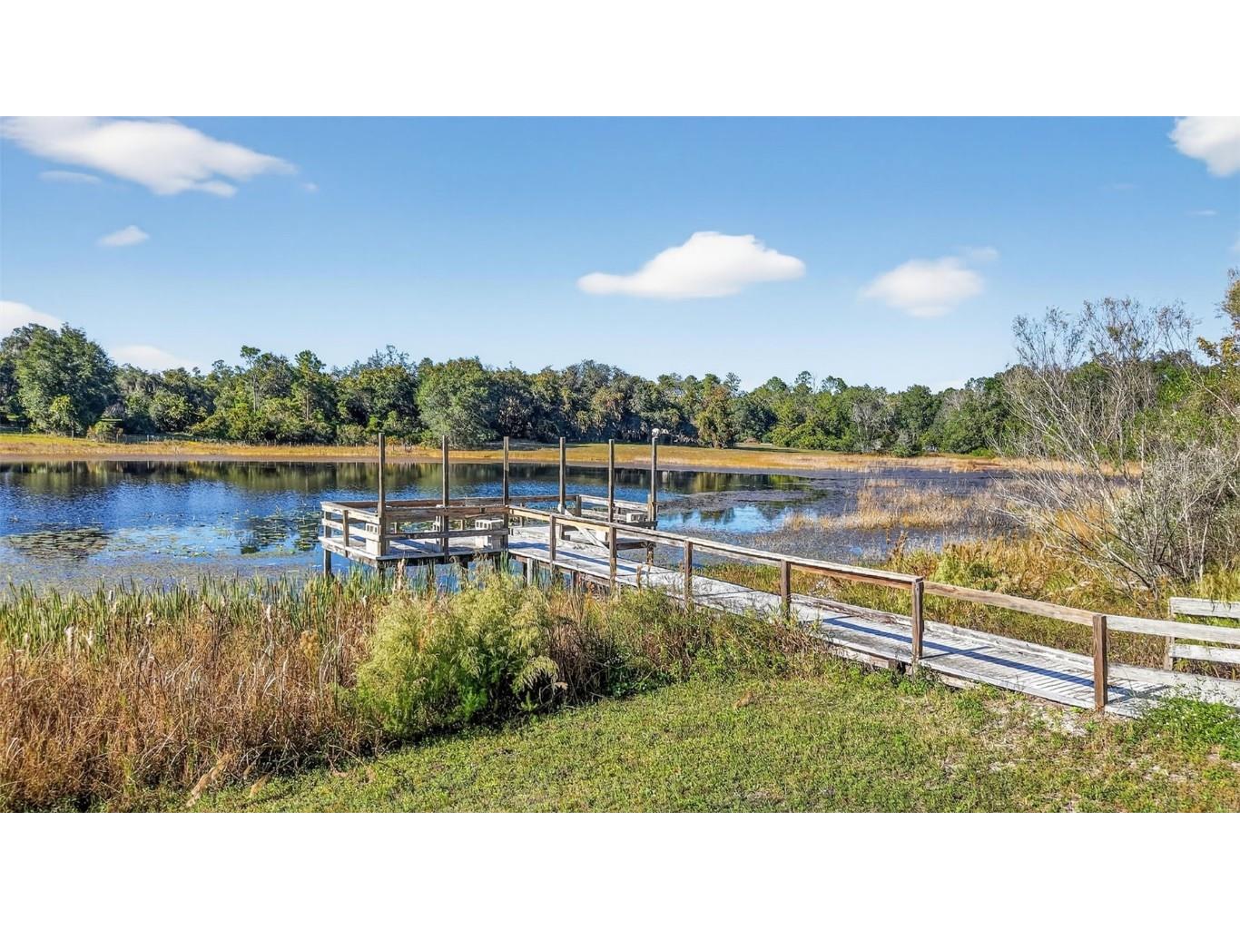 11400 SE 185th Terrace Ocklawaha FL 32179 G5104323 image4