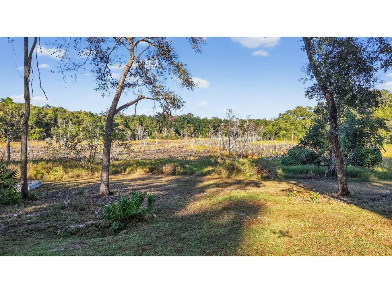 11400 SE 185th Terrace Ocklawaha FL 32179 G5104323 image44