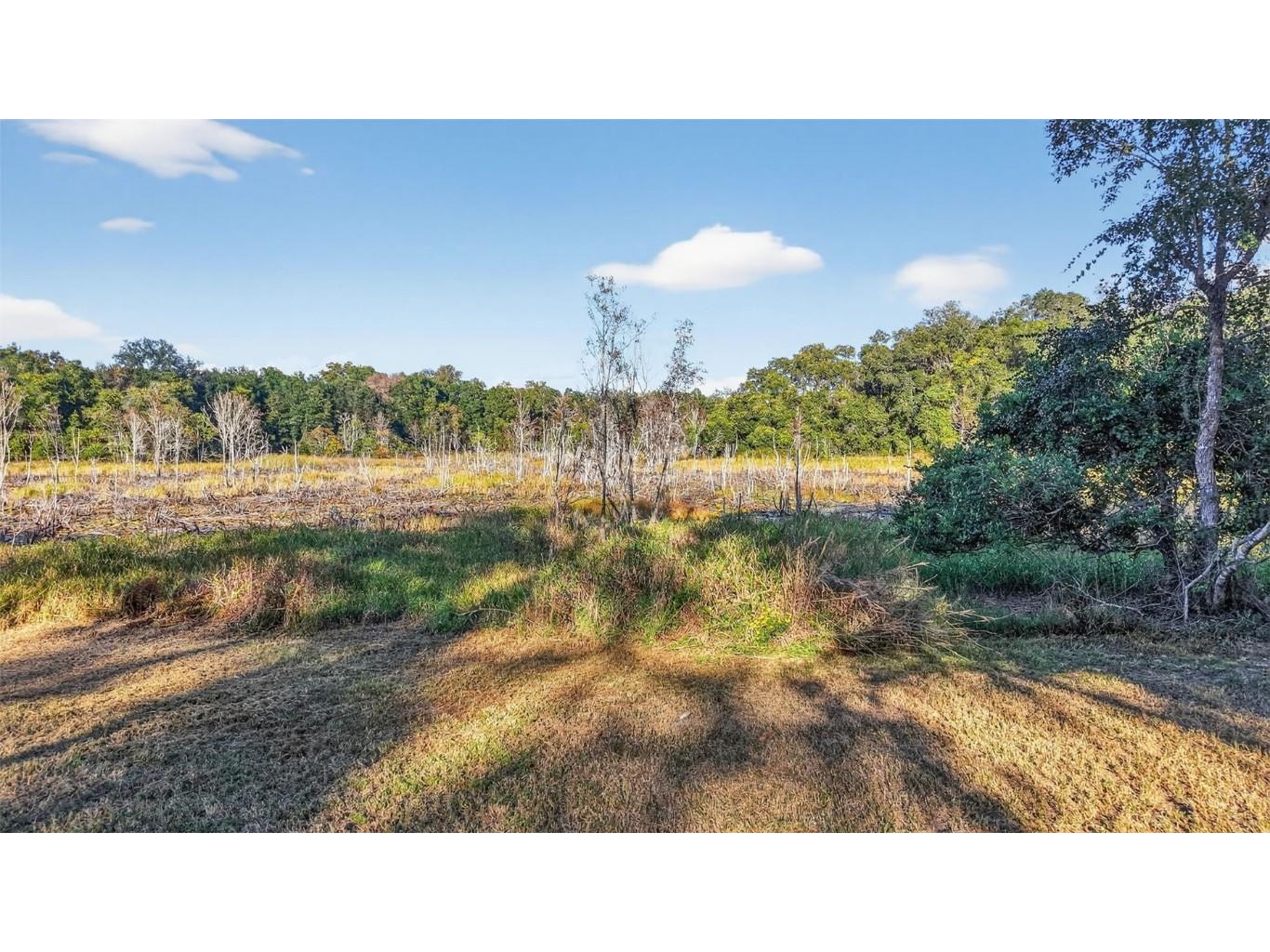 11400 SE 185th Terrace Ocklawaha FL 32179 G5104323 image45