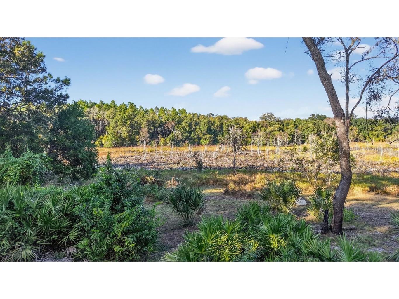 11400 SE 185th Terrace Ocklawaha FL 32179 G5104323 image46