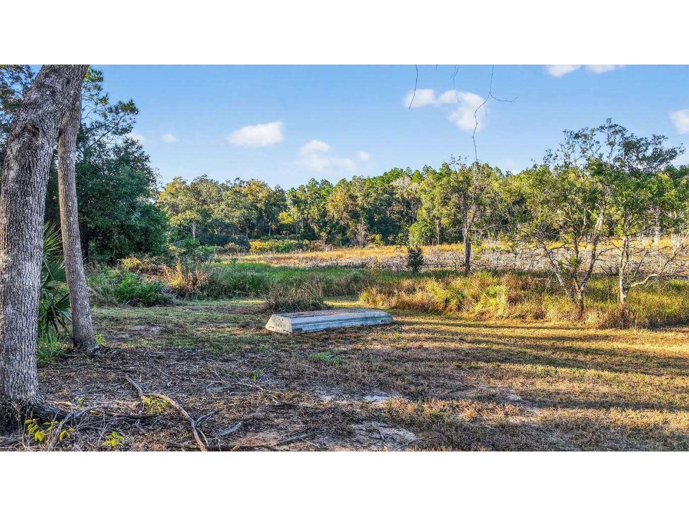 11400 SE 185th Terrace Ocklawaha FL 32179 G5104323 image47