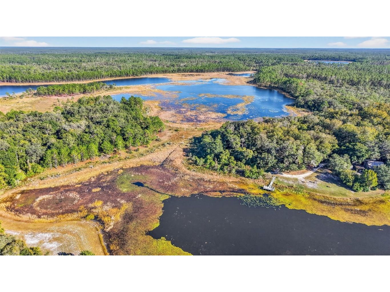 11400 SE 185th Terrace Ocklawaha FL 32179 G5104323 image53