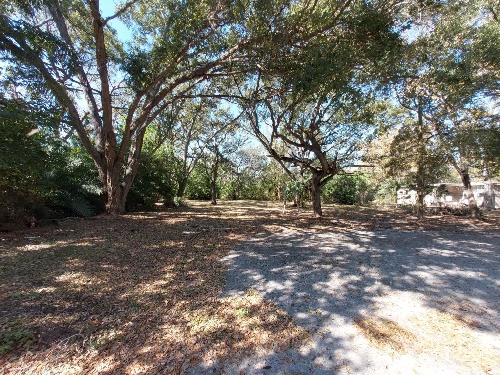 11400 Us Highway 19 N Clearwater FL 33764 TB8475614 image10