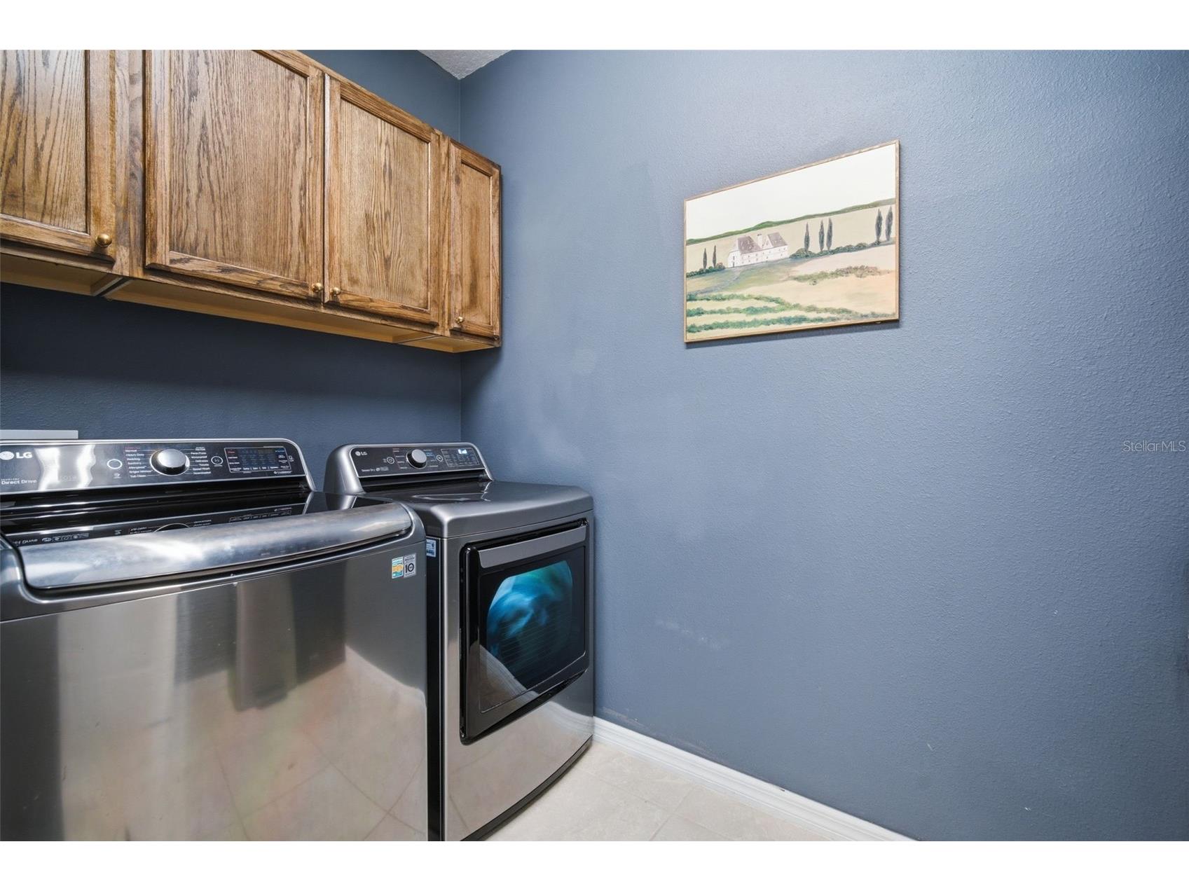 11401 Green Harvest Drive Riverview FL 33578 TB8505392 image41