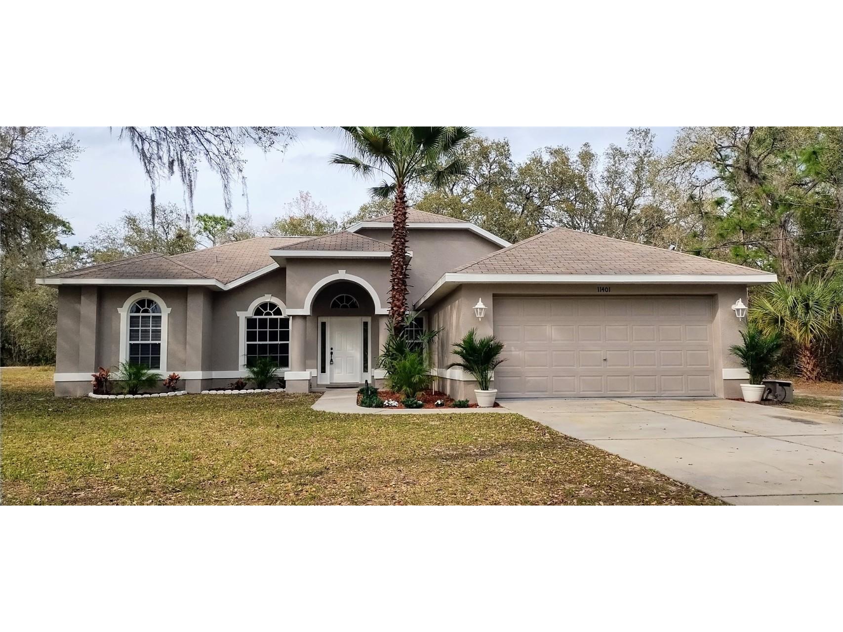 11401 Petrel Avenue Weeki Wachee FL 34614 T3513138 image1
