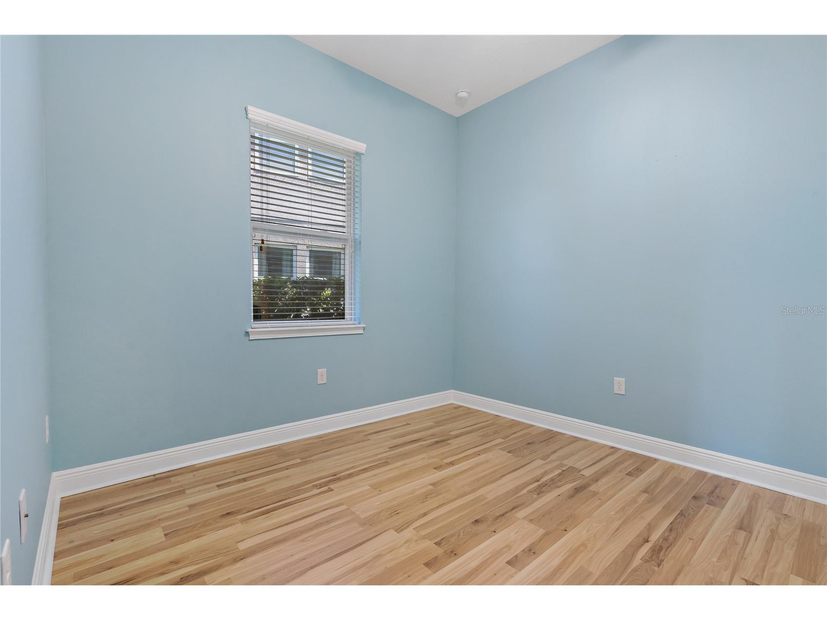 11401 Quiet Forest Drive Tampa FL 33635 W7875404 image22