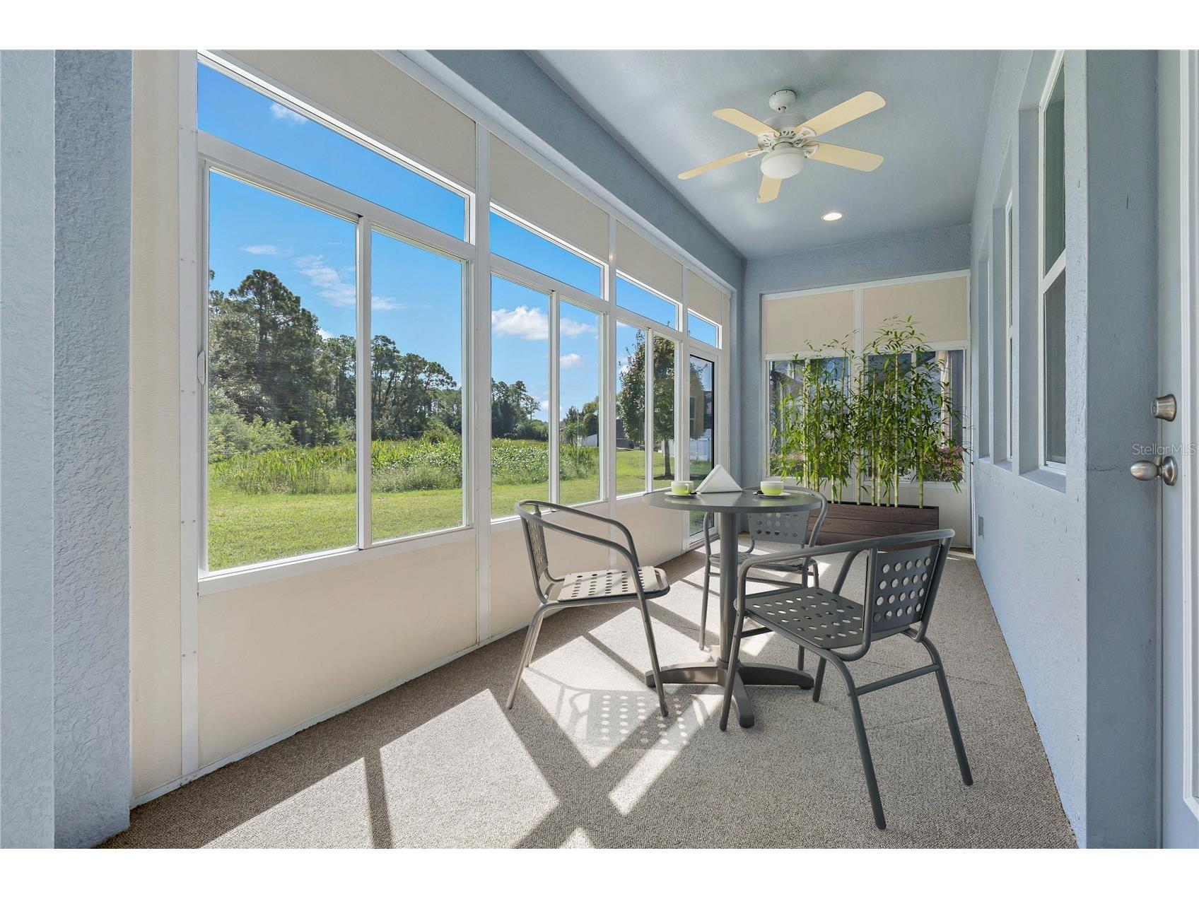 11401 Quiet Forest Drive Tampa FL 33635 W7875404 image27