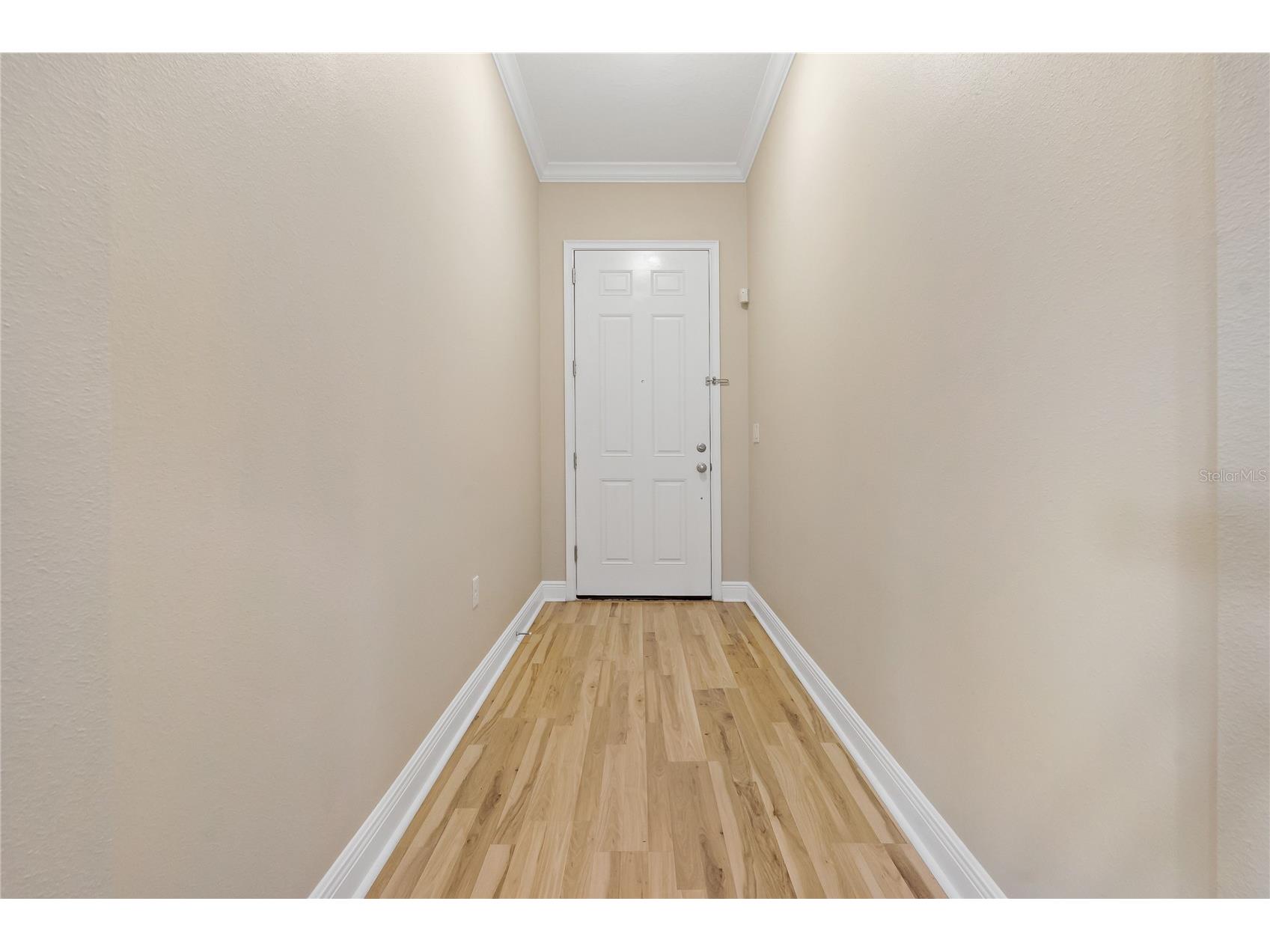 11401 Quiet Forest Drive Tampa FL 33635 W7875404 image3