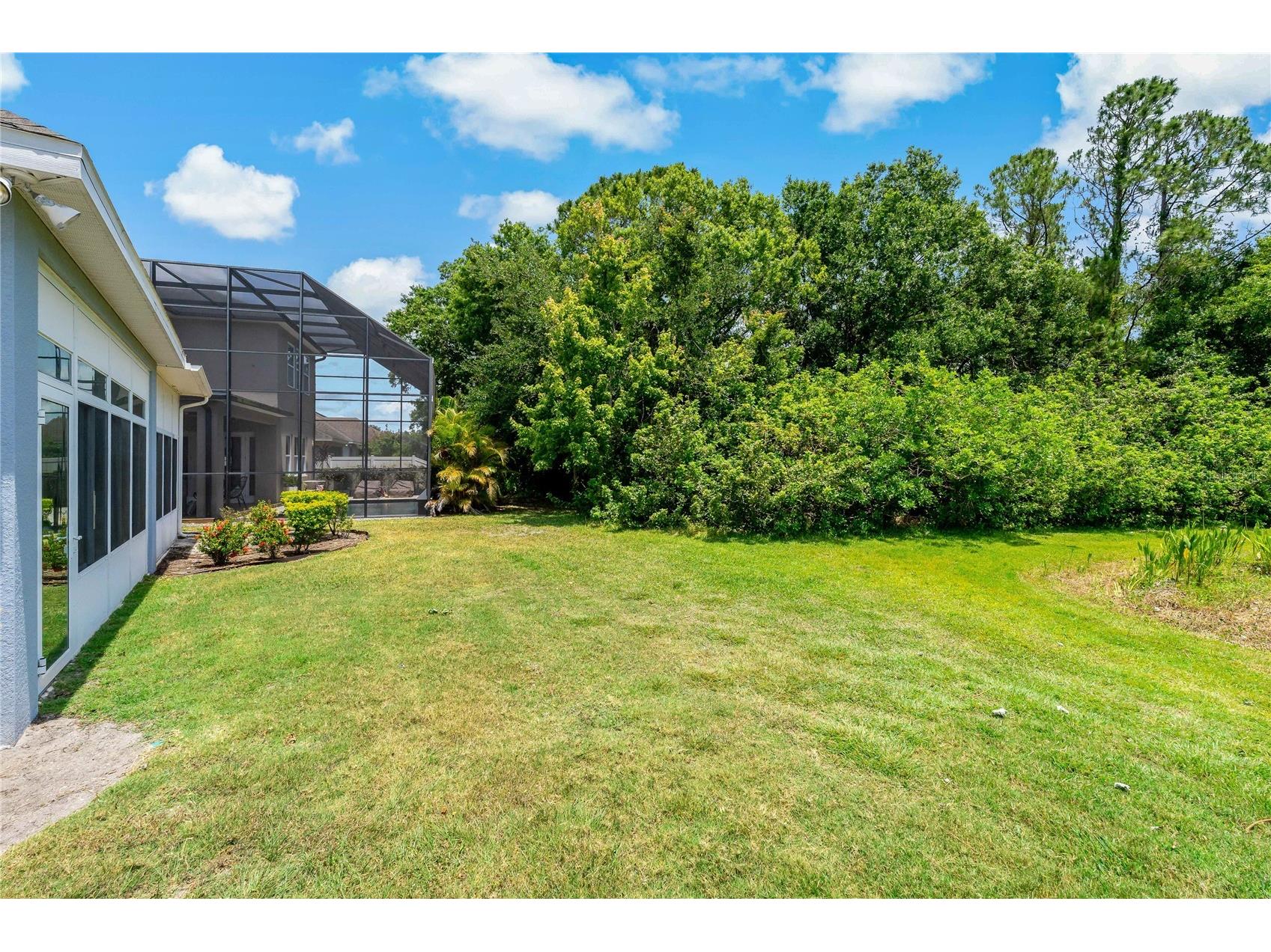 11401 Quiet Forest Drive Tampa FL 33635 W7875404 image35