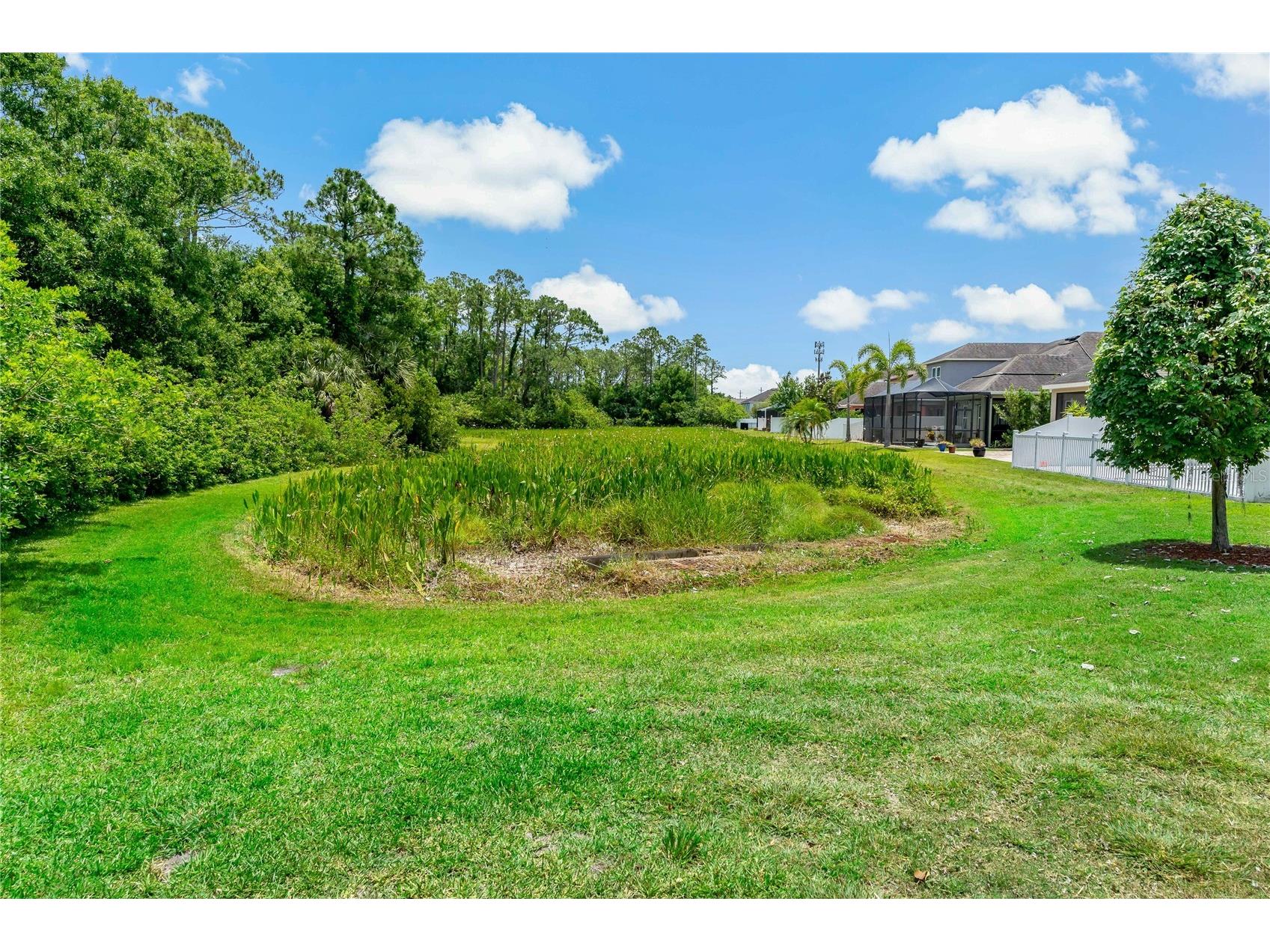 11401 Quiet Forest Drive Tampa FL 33635 W7875404 image36