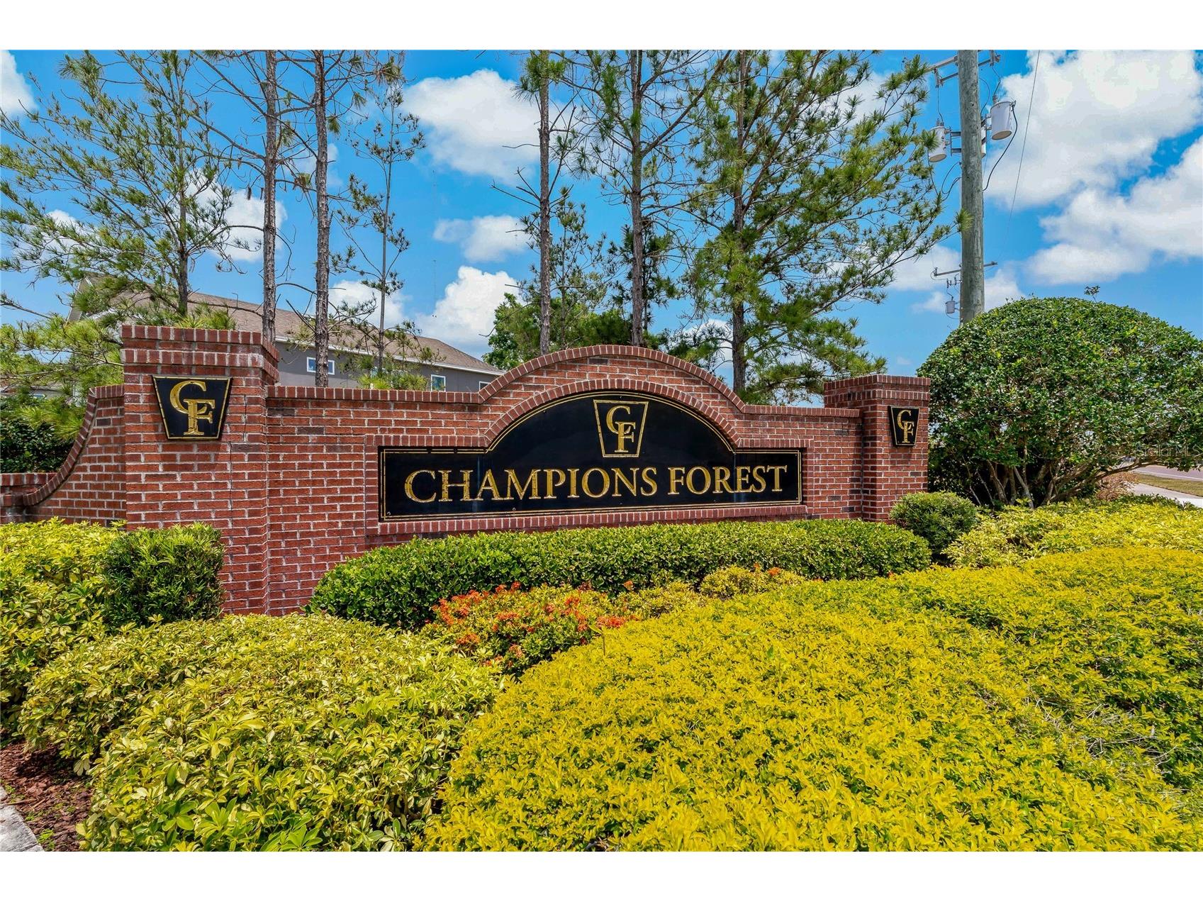 11401 Quiet Forest Drive Tampa FL 33635 W7875404 image37