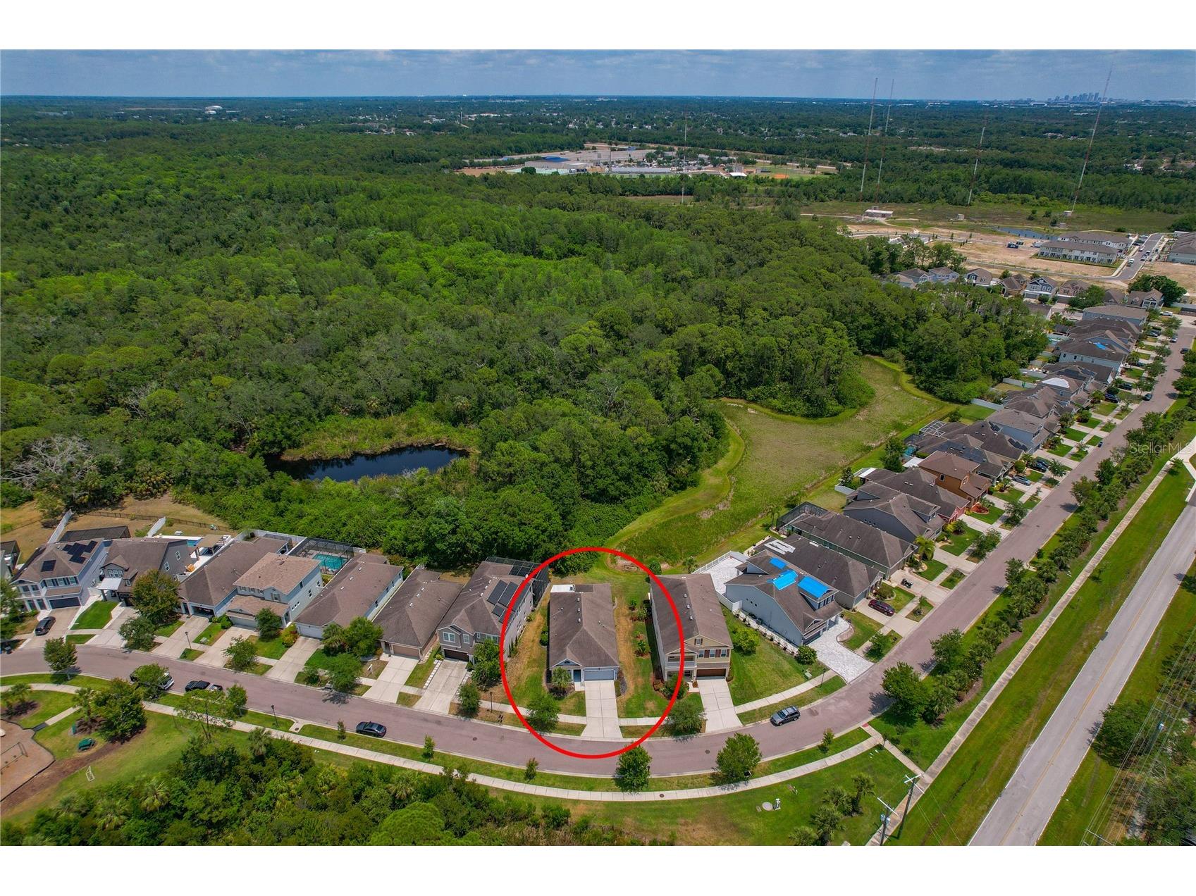 11401 Quiet Forest Drive Tampa FL 33635 W7875404 image39