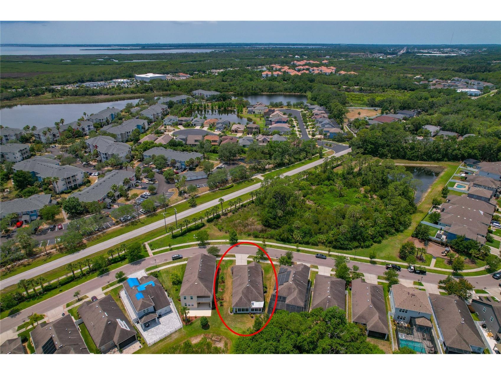 11401 Quiet Forest Drive Tampa FL 33635 W7875404 image41