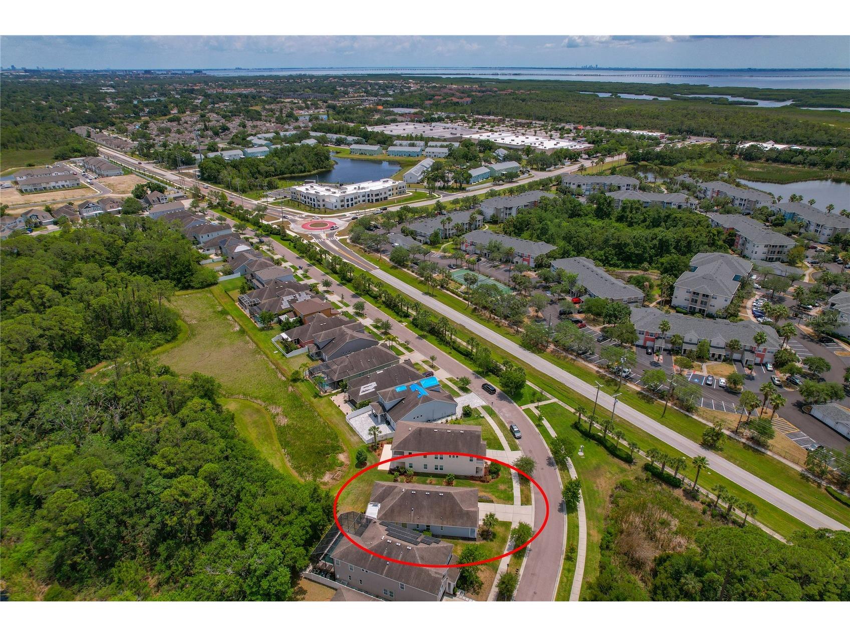 11401 Quiet Forest Drive Tampa FL 33635 W7875404 image42