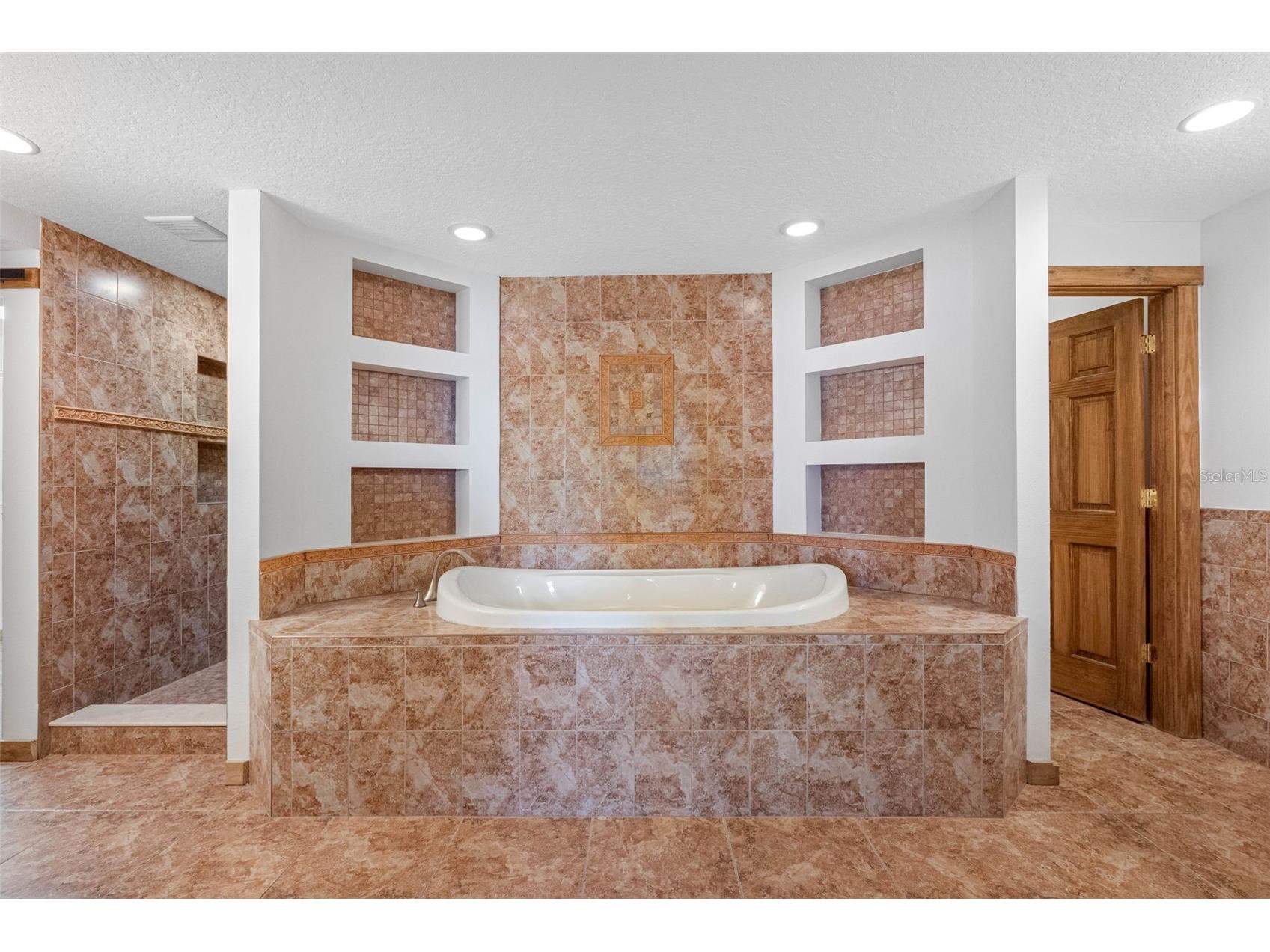 11401 Thonotosassa Road Thonotosassa FL 33592 - LAKE THONOTOSASSA TB8467742 image42